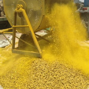 Processing of Turmeric